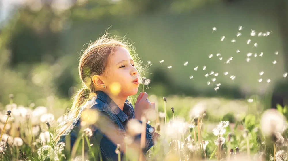 Sophrologie ludique enfants à Chartrettes