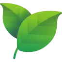 feuille